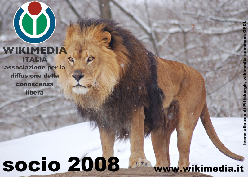 File:Bozza tessera wikimedia 2008.png