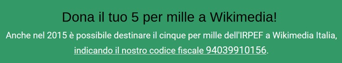 File:Banner 5x1000.jpg