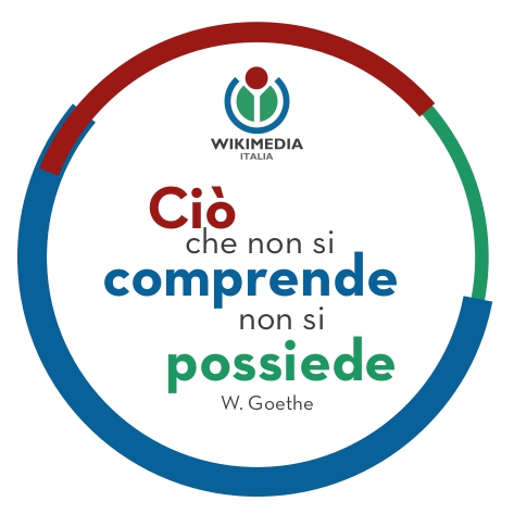 T-Shirt frase Goethe