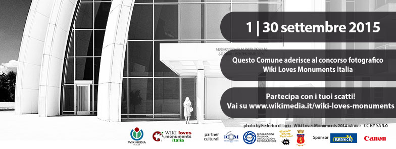 File:Allegato 6 - cover FB Comuni 2015 Comuni.jpg