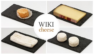 File:WikiCheese 320px.jpg