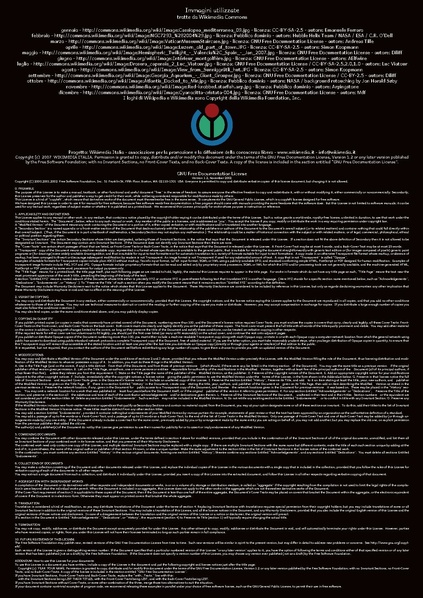 File:Wikical2008 14.pdf