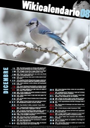 ← pagina precedente