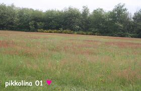 ❌ Non accettare immagini storte, con watermark, sovraesposte o senza monumento come soggetto principale