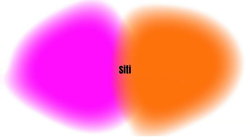 File:DISCONNECT - ESSERE SOCIAL MA PIÙ SICURE IN RETE.pdf