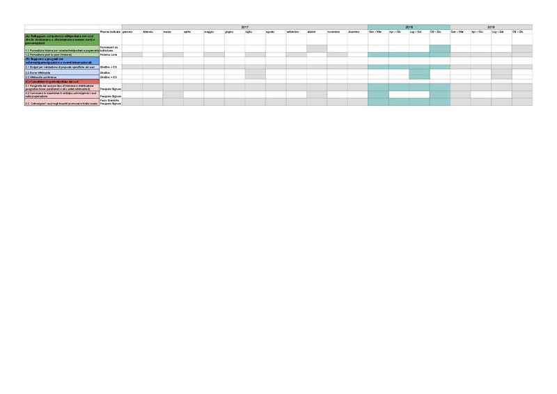 File:Piano operativo VOLONTARI - piano operativo.pdf