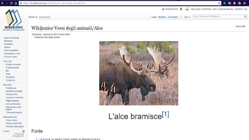 File:Approccio wiki nella scuola.pdf