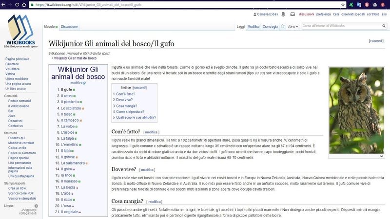 File:Approccio wiki nella scuola.pdf