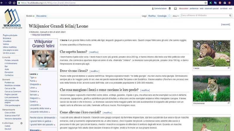 File:Approccio wiki nella scuola.pdf