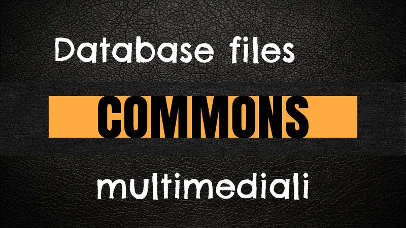 File:Approccio wiki nella scuola.pdf