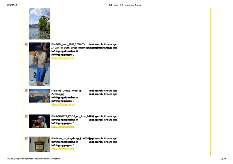 File:2019-04 Infringement.Report List view.pdf