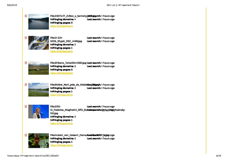 File:2019-04 Infringement.Report List view.pdf