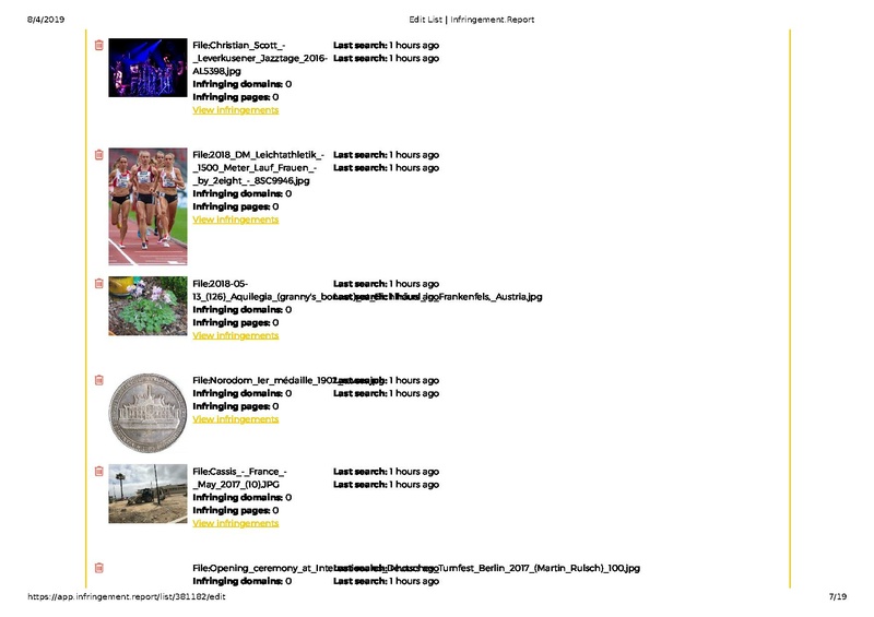 File:2019-04 Infringement.Report List view.pdf