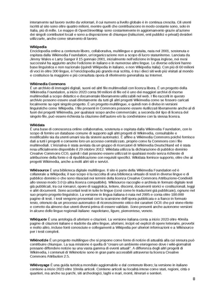 File:Bilancio sociale 2022 di Wikimedia Italia.pdf