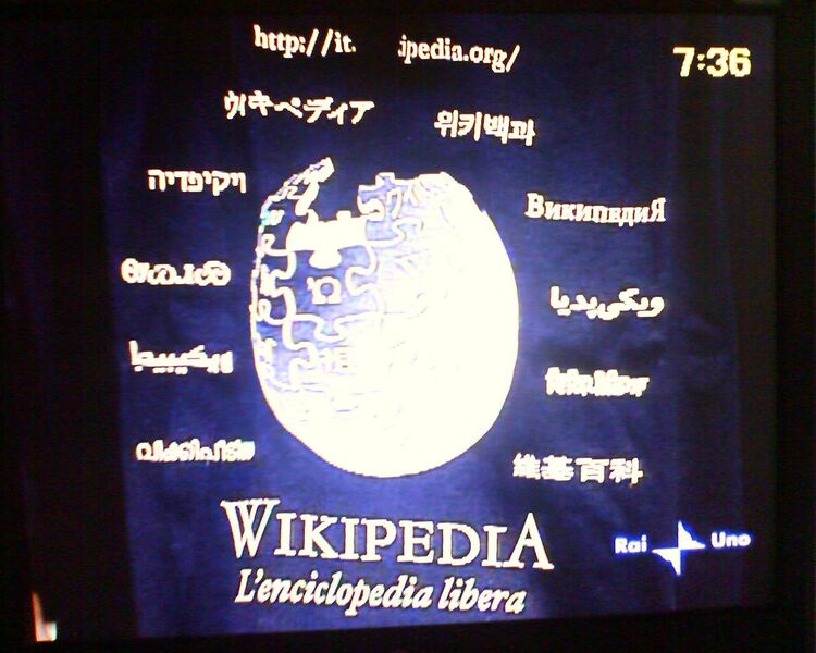 File:M7 maglietta in RAI dett.jpg