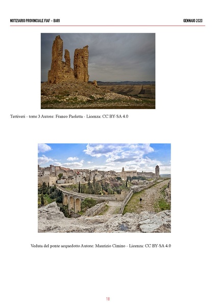 File:Notiziario FIAF Bari Gennaio 2021.pdf