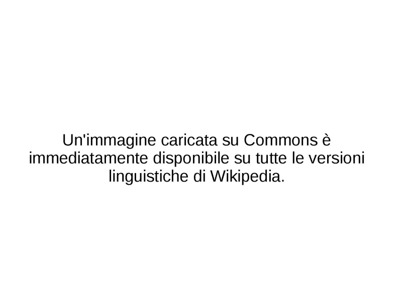 File:Introduzione a Wikipedia, 2015.pdf