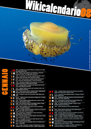 WikicalendarioA3-gennaio.jpg