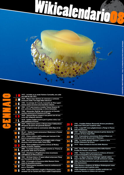 File:WikicalendarioA3-gennaio.jpg