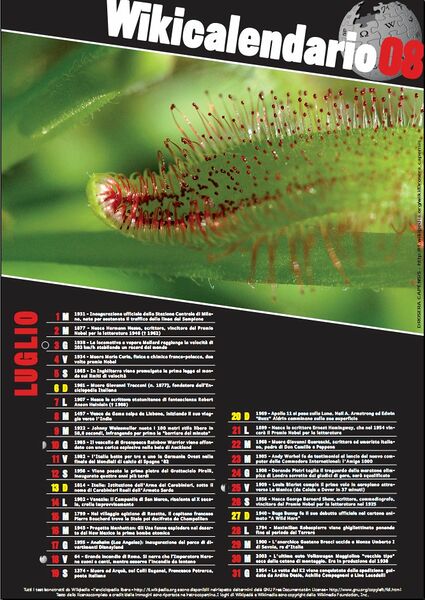 File:Wikical2008 8.jpg