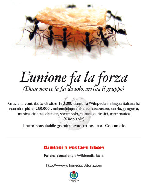 File:Unioneforza4.jpg