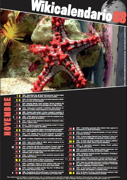 File:Wikical2008 12.jpg