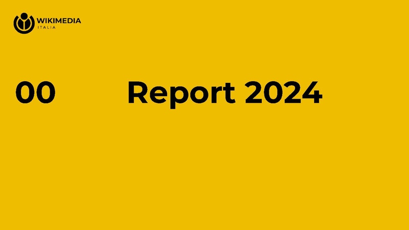 File:Report raccolta fondi 2024.pdf