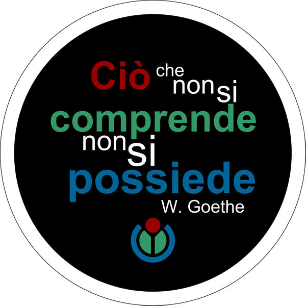 File:Spilla 1 copy2.jpg