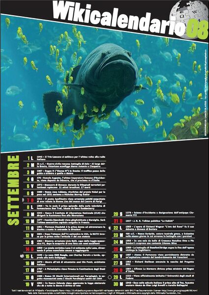 File:Wikical2008 10.jpg