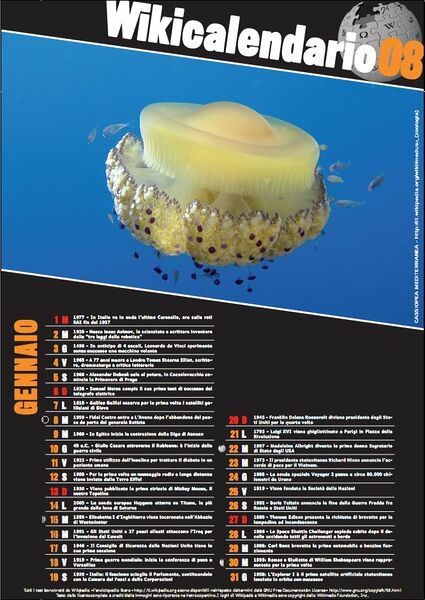 File:Wikical2008 2.jpg